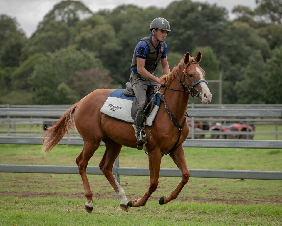 SCISSOR KICK x MISS BAX Colt with The People's Trainer RICHARD FREEDMAN